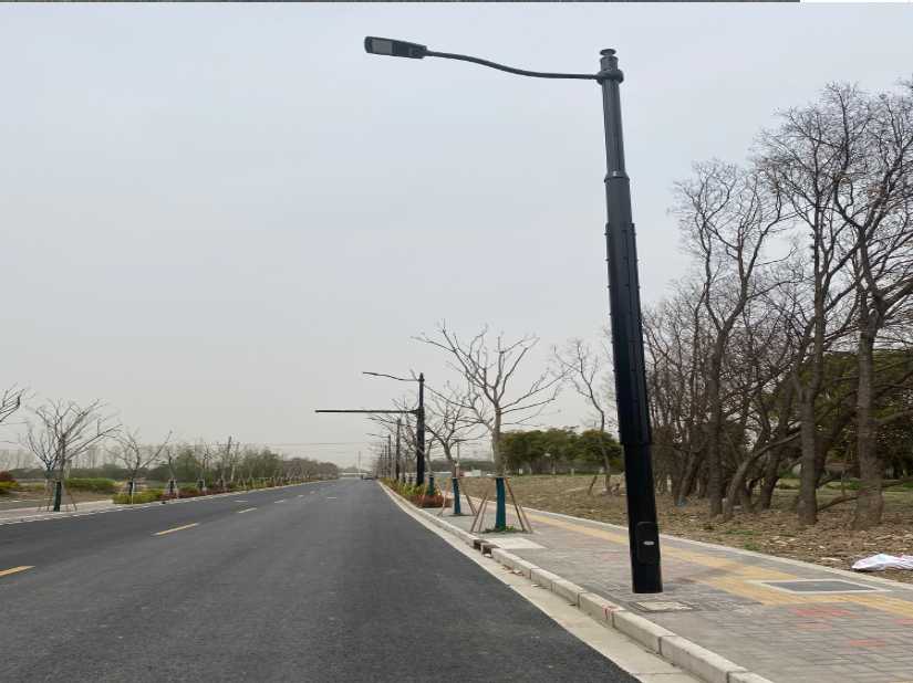 揭东区上海综合杆 太阳能路灯工程